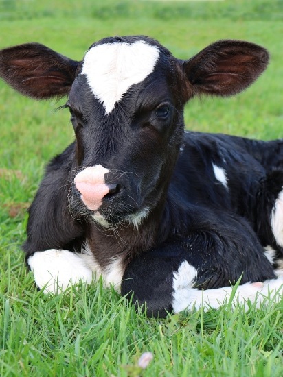 Content Section Image 2